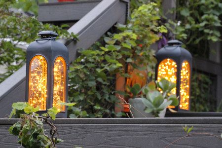 Firefly Series - Attraction Lights